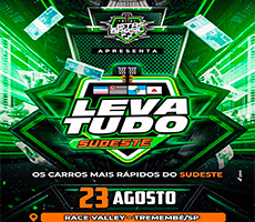 Miniatura LEVA TUDO SUDESTE