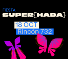 Miniatura FIESTA SUPERHADA