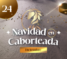 Miniatura NAVIDAD EN CABORTEADA
