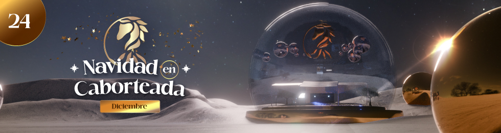 Capa NAVIDAD EN CABORTEADA