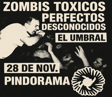 Miniatura NOCHE DE PUNK & ROLL - 28/11