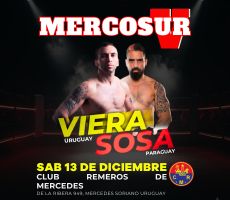 Miniatura VELADA MERCOSUR V DEL PITUFO VIERA | 13 DIC.