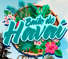 Miniatura BAILE DO HAVAÍ