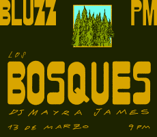 Miniatura LOS BOSQUES EN BLUZZ BAR