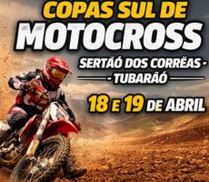 Miniatura COPA SUL DE MOTOCROSS