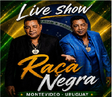 Miniatura RACA NEGRA EN MONTEVIDEO