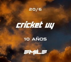 Miniatura CRICKET: 10 AÑOS
