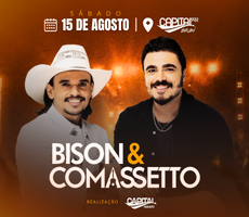 Miniatura BISON E COMASSETO 