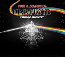 Miniatura PIGS & DIAMONDS - PINK FLOYD IN CONCERT