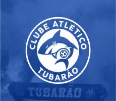 Miniatura TUBARÃO X GUARANI