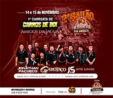 Miniatura BAILÃO DE RODEIO