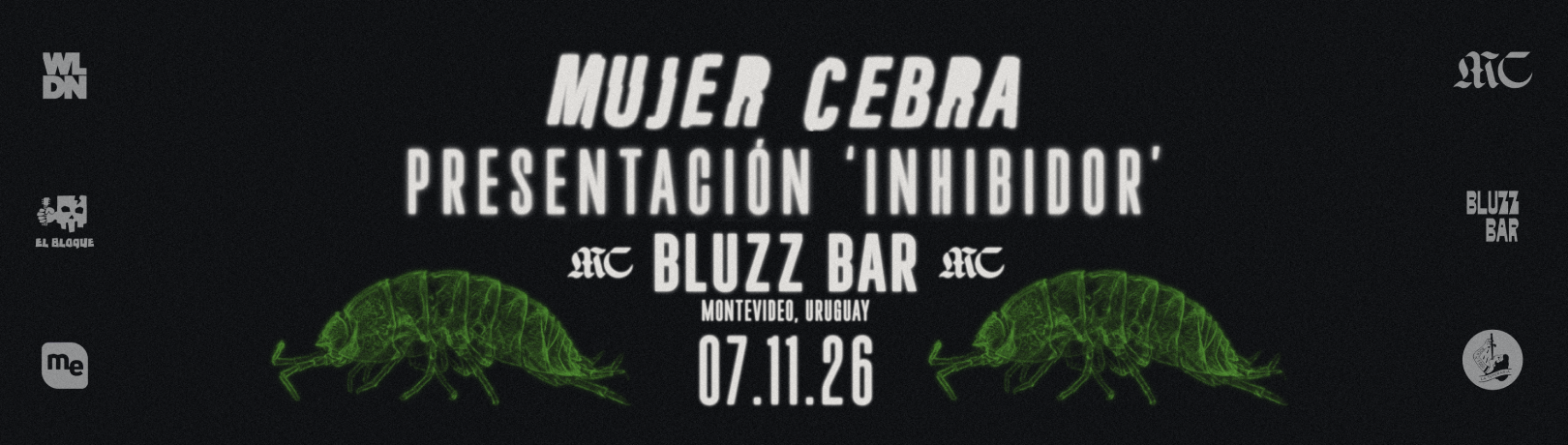 Capa MUJER CEBRA EN BLUZZ